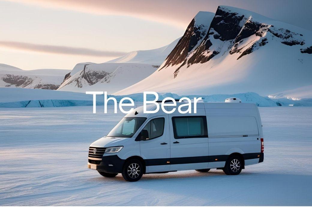 The Bear